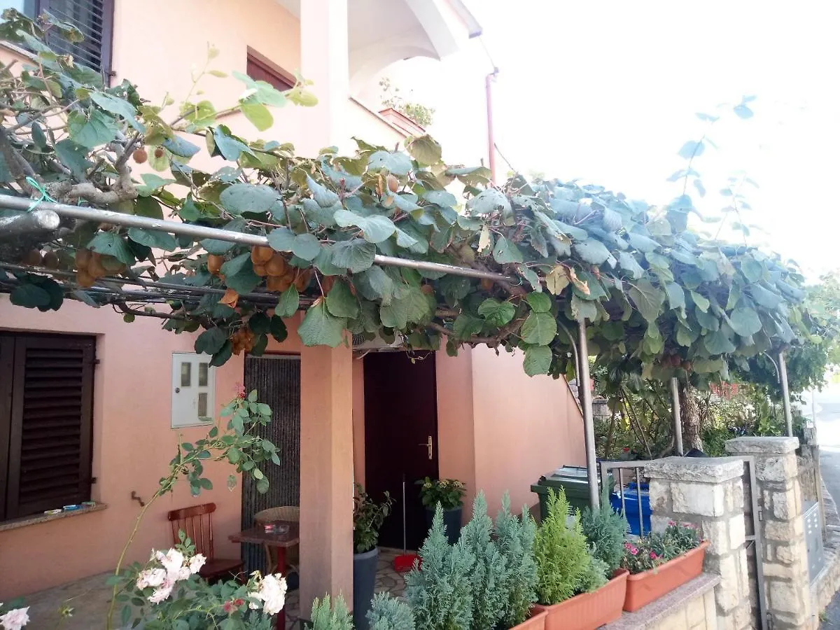 דירות רוביני Olimp House M